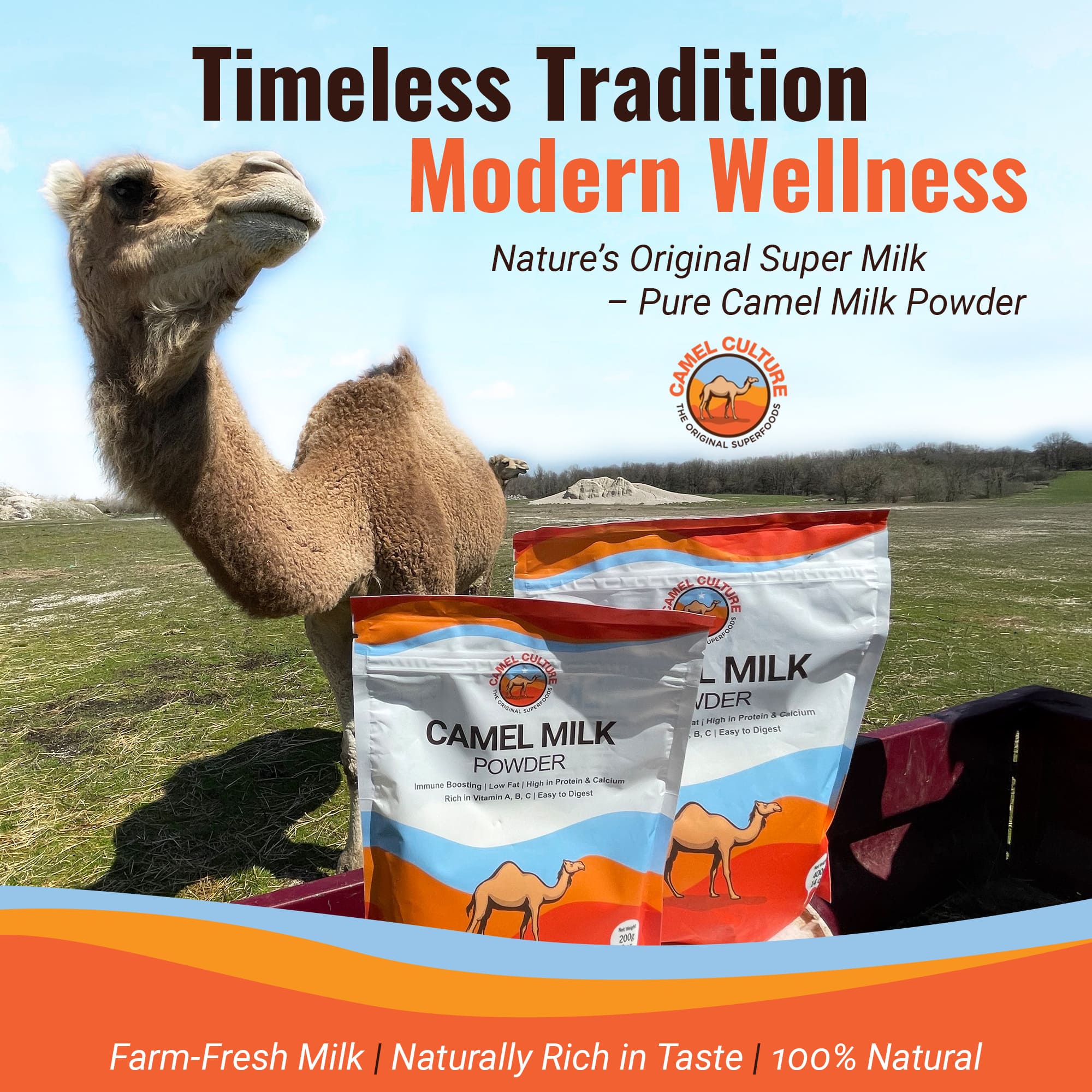 Dry Camel Milk Powder - Image 7